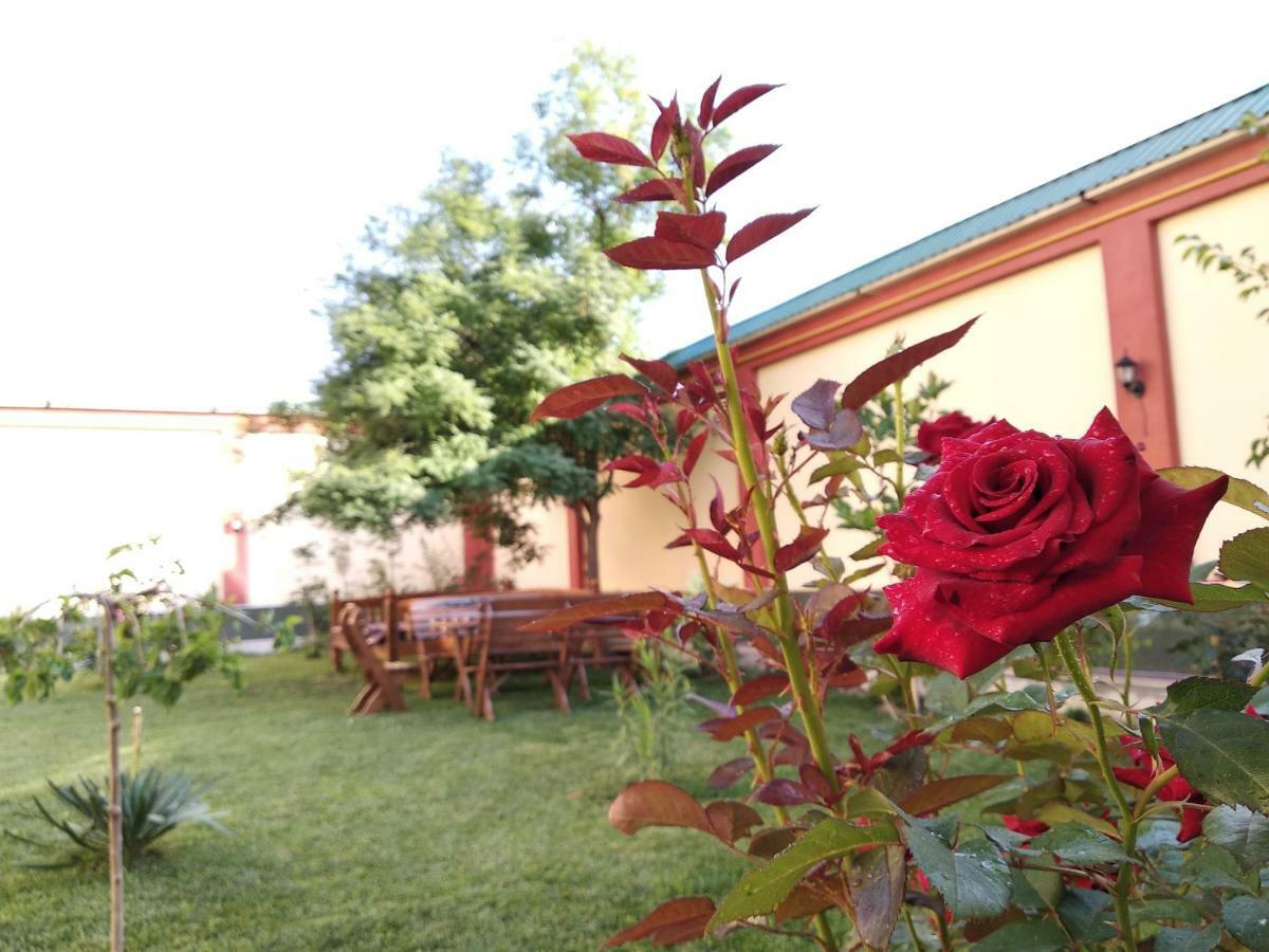 Chinor Garden Hotel - Free Airport Pick-Up And Drop-Off Tashkent Luaran gambar
